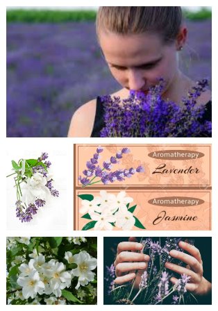 Fragrance Notes: Everything You Need to Know | FragranceX
