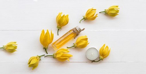 Ylang-Ylang