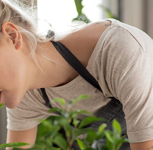 woman tending an indoor herb garden