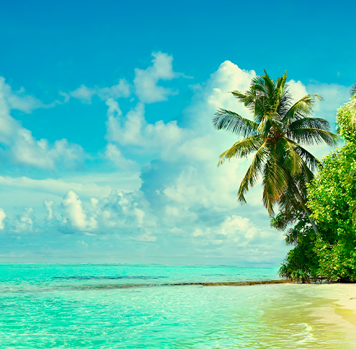 best tropical fragrances for men and women