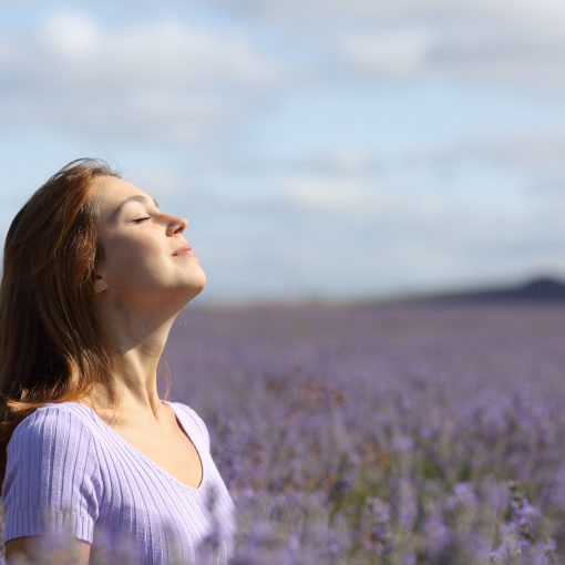 Woman breathing in a lavender field fragrance