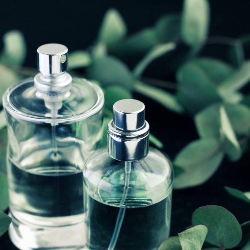 perfume bottles surrounded by green leaves