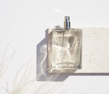 Transparent bottle of perfume on stone plate on a white background. Fragrance presentation with daylight. Trending concept in natural materials with dry plant. Women's and men's essence.