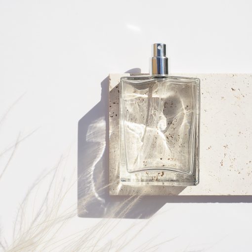 Transparent bottle of perfume on stone plate on a white background. Fragrance presentation with daylight. Trending concept in natural materials with dry plant. Women's and men's essence.