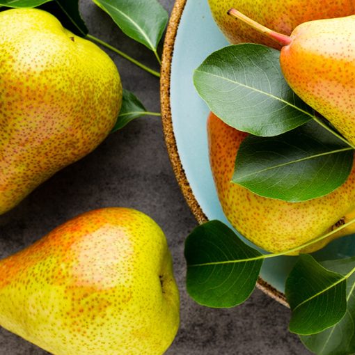 Best Pear fragrances