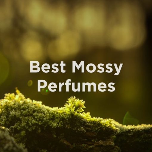 Best Mossy Perfumes